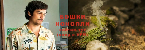 дурь Новозыбков