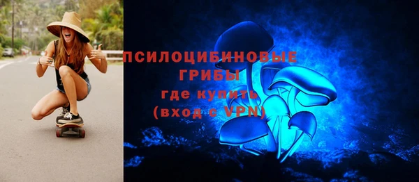 дурь Новозыбков