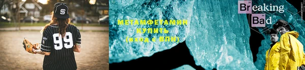 шишки Новодвинск