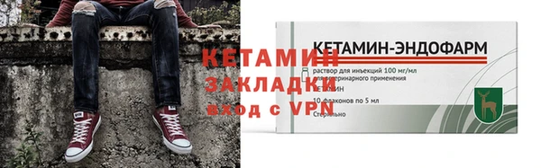 шишки Новодвинск