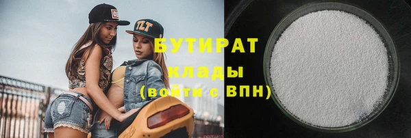 шишки Новодвинск