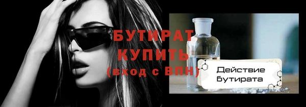 шишки Новодвинск