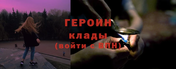шишки Новодвинск