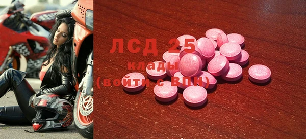 шишки Новодвинск