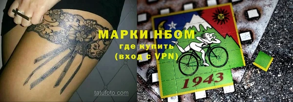 шишки Новодвинск