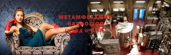 шишки Новодвинск