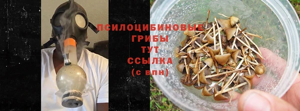 шишки Новодвинск