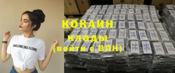 шишки Новодвинск