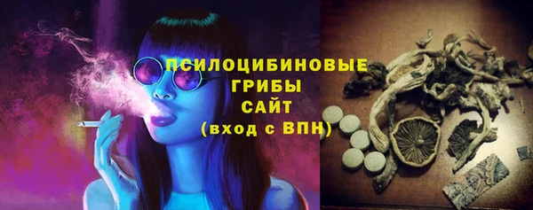 шишки Новодвинск