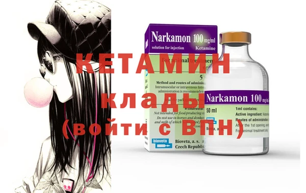 шишки Новодвинск